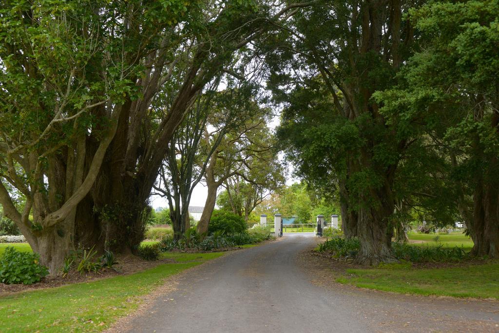 Lavalla Estate Casa de hóspedes Tuakau Exterior foto
